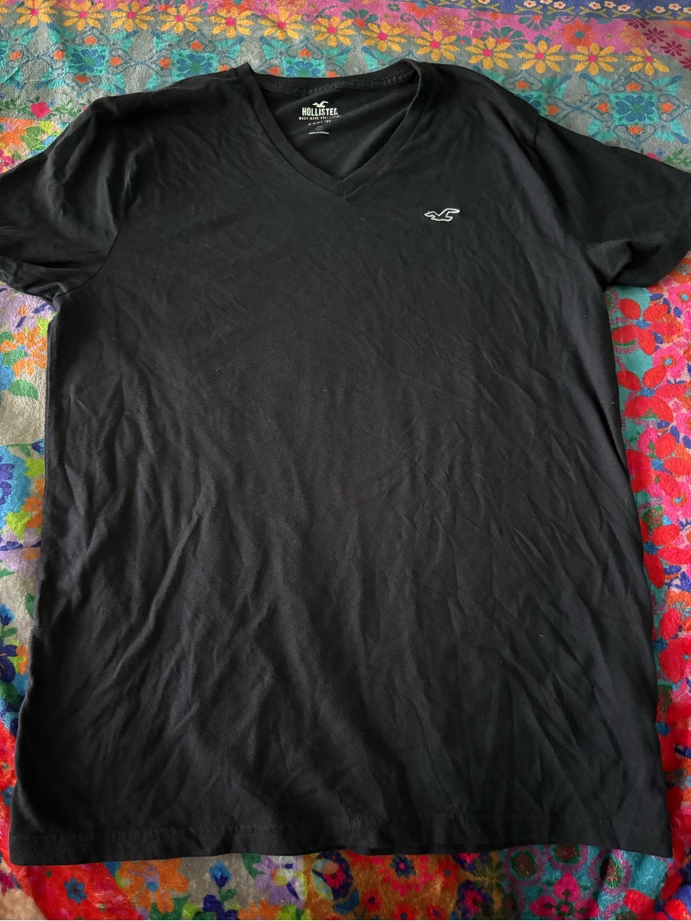 Hollister Men’s Black V-Neck Tee with Embroidered Logo